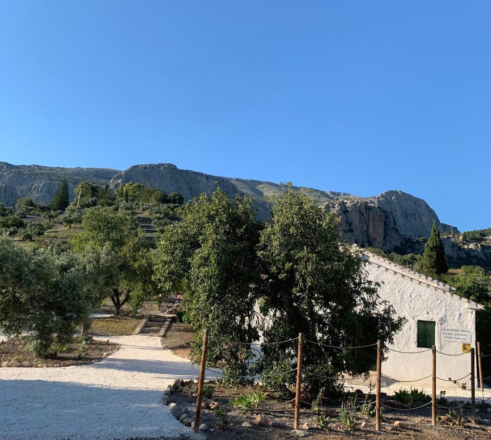 Gasthaus Casa Anita - La Almona Chica El Chorro Exterior foto